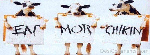 Eat Mor Chikin