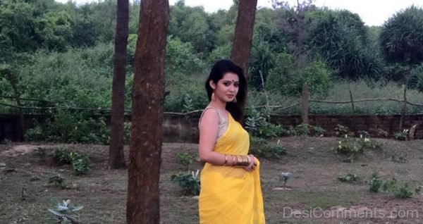 Ena Saha In Yellow Saree-DC225