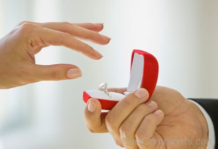 Engagement Proposal