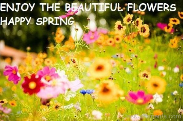 Enjoy The Beautiful Spring