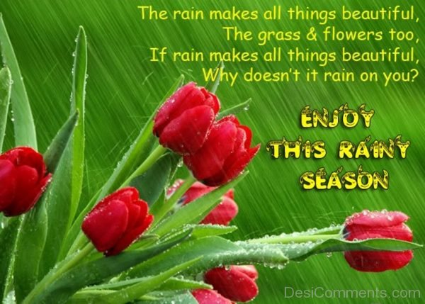 Enjoy The Rainy Season