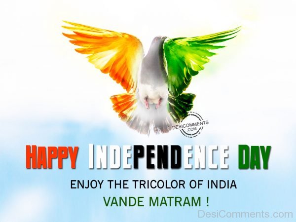 Enjoy the tricolor of india,Happy Independence Day