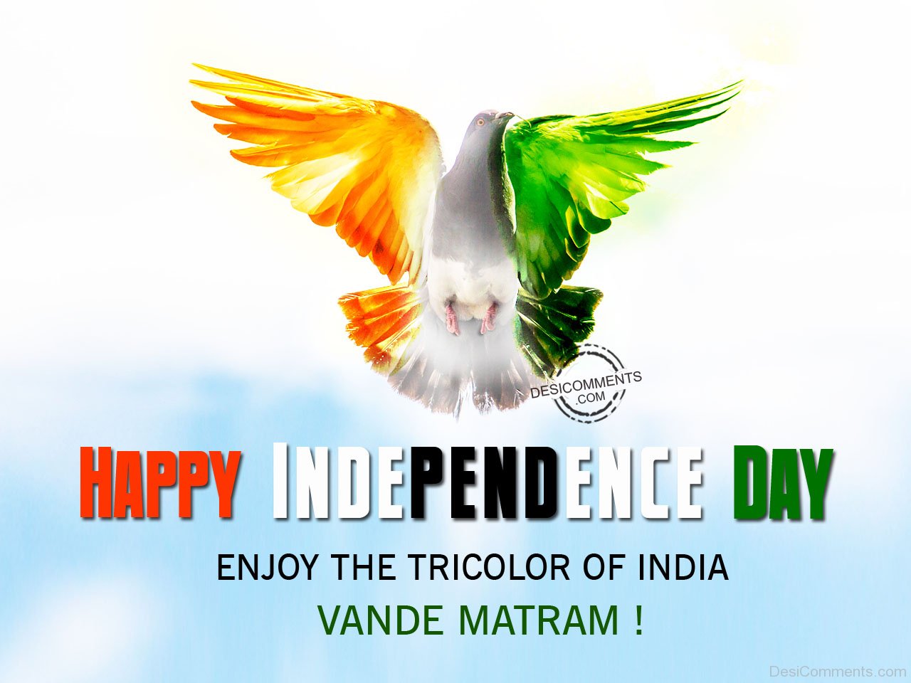 Enjoy the tricolor of india,Happy Independence Day - DesiComments.com