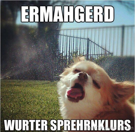 Ermahgerd