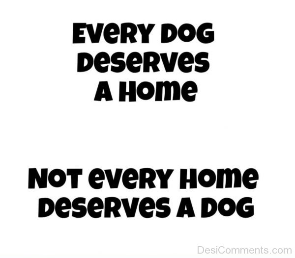 Every dog deserves a home