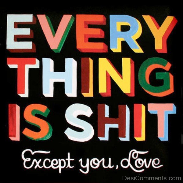 Every thing is shit except you love