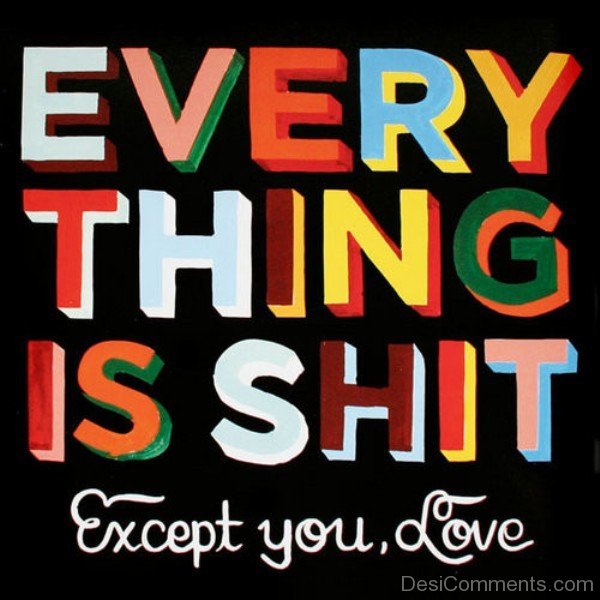Every thing is shit except you love
