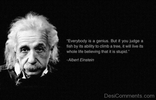 Everybody Is a Genius