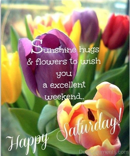 Excellent Weekend – Happy Saturday