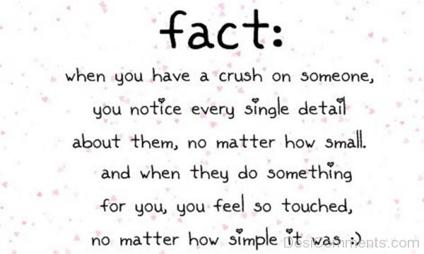Facts Of Crush-DC06