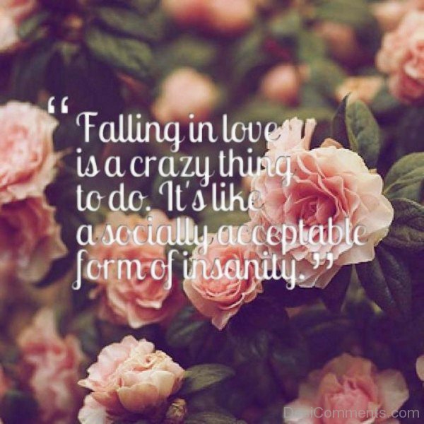 Falling In Love Is A Crazy Thing To Do - DC458