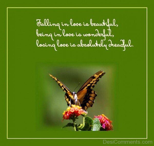 Falling in love is beautiful-DC0p6025