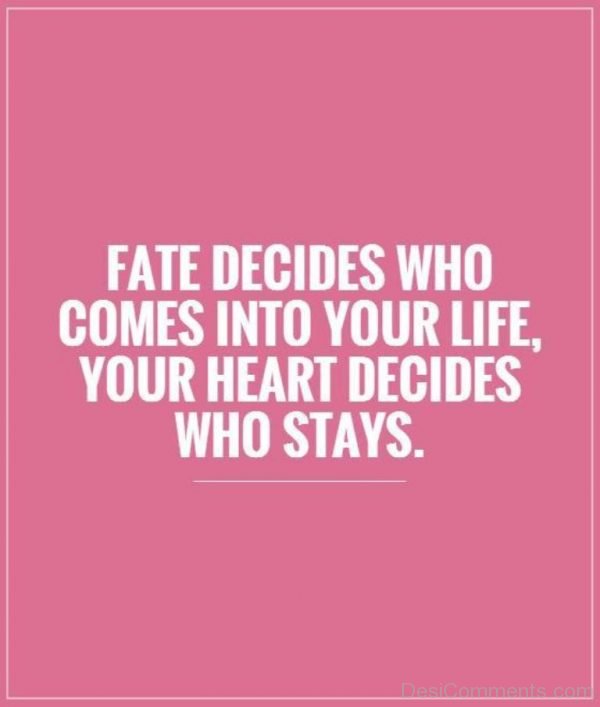 Fate Decides Who Comes Into Your Life-DC10