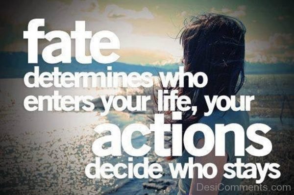 Fate Determines Who Enters Your Life-DC11