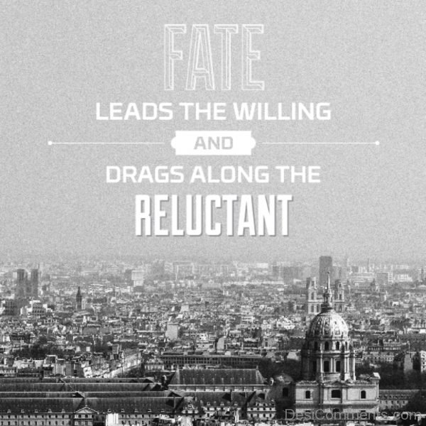 Fate Leads The Willing-DC15