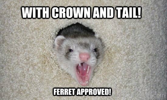 Ferret Approved