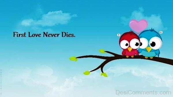 First Love Never Dies Love Birds Picture-yjr603DESI02