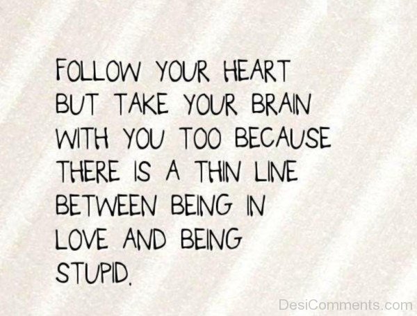 Follow Your Heart But Take Your Brain-tyn918DC23