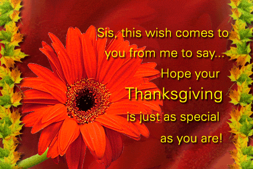 For Sis – Happy Thanksgiving