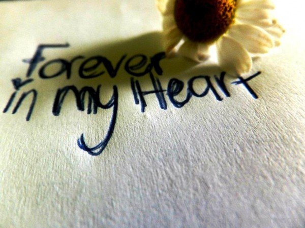 Forever In My Heart-sdf603DESI16
