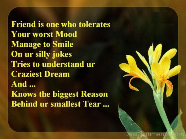 Friend Is One Who Tolerates Your Worst Mood