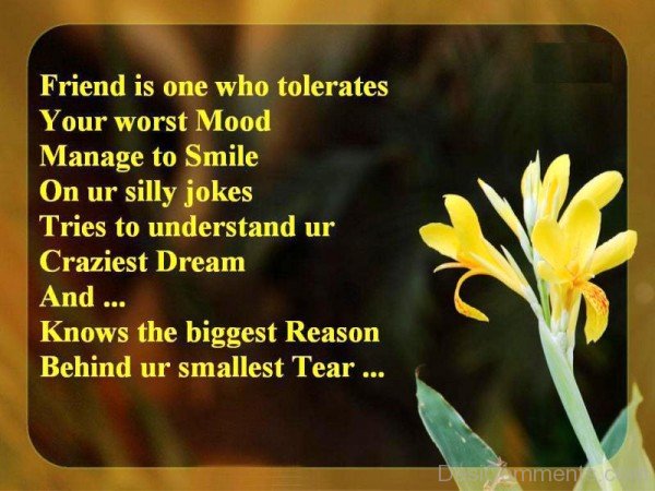 Friend Is One Who Tolerates Your Worst Mood -dc099057