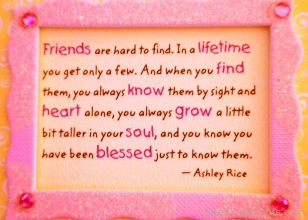 Friends Are Hard To Find Quotes-DC046
