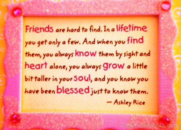 Friends Are Hard To Find Quotes-dc099059