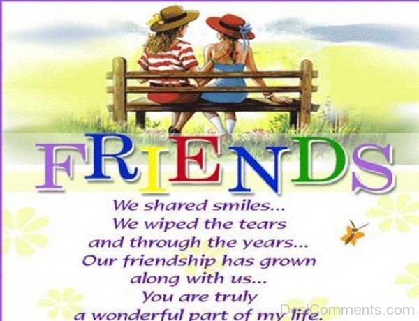 Friends Are Wonderful Part Of My Life-DC050