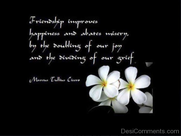 Friendship Improves Happiness