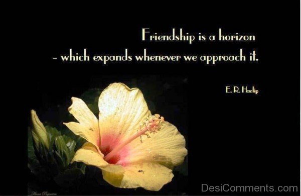 Friendship Inspirational Quote - DesiComments.com