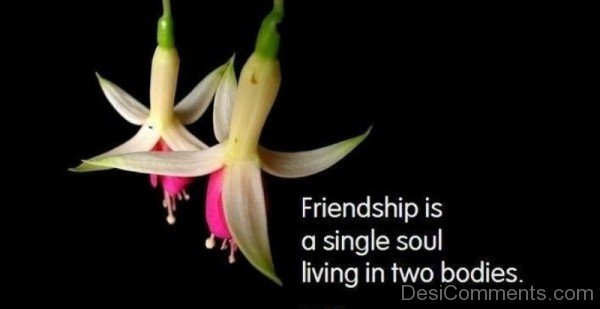 Friendship Is  A Single Soul Living In Two Bodies
