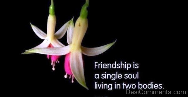 Friendship Is  A Single Soul Living In Two Bodies