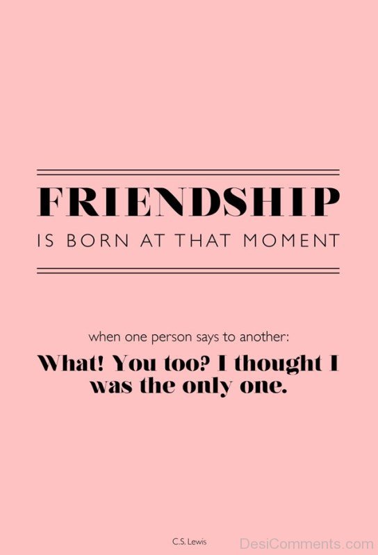 Friendship Is Born At That Moment