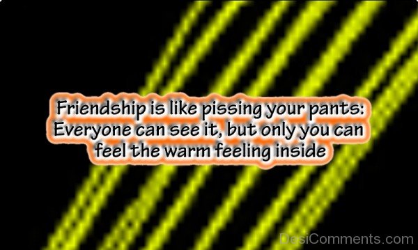 Friendship Is Like Pissing Your Pants -DC059