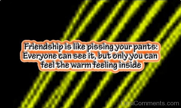 Friendship Is Like Pissing Your Pants