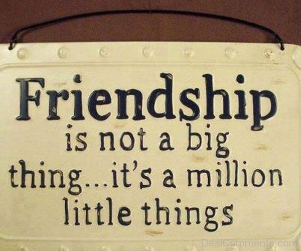 Friendship Is Not A Big Thing