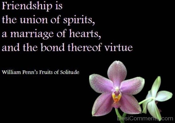 Friendship Is The Union Of Spirits