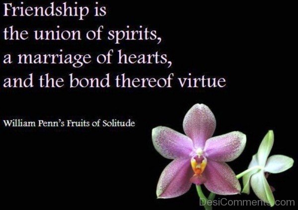Friendship Is The Union Of Spirits-dc099081