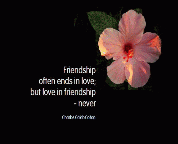 Friendship Often Ends In Love  But Love In Friendship Never-DC007