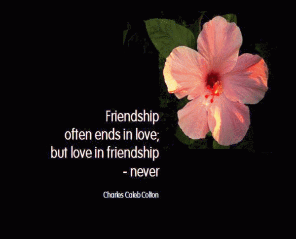 Friendship Often Ends In Love  But Love In Friendship Never