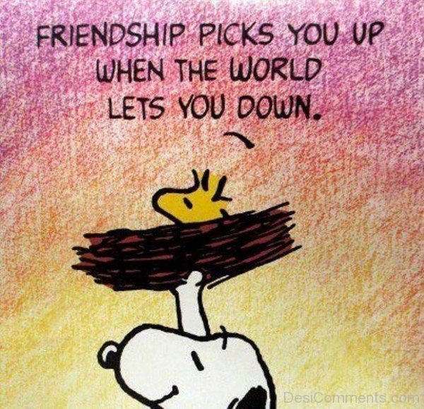 Friendship picks you up when the world lets you down-DC049