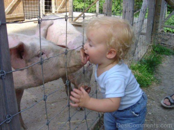 Funny Animals with Kids