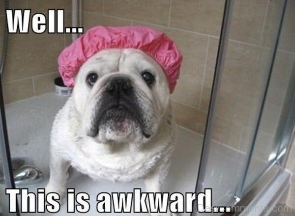Funny Awkward Dog Shower Cap Bulldog