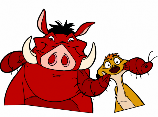 Funny Faces Of Timon And Pumbaa