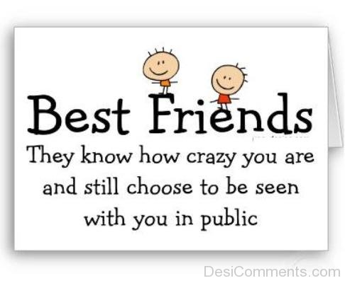 Funny Friendship Quote