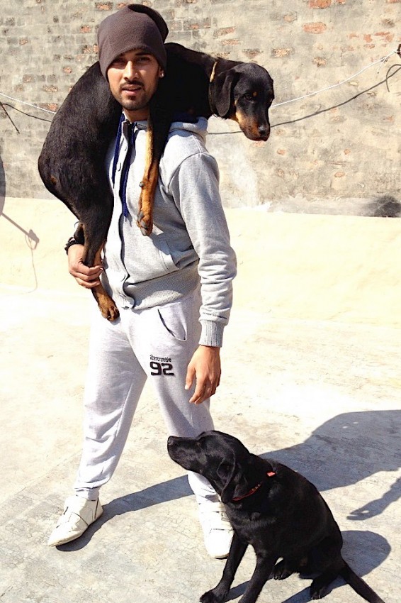 Garry Sandhu With Dogs