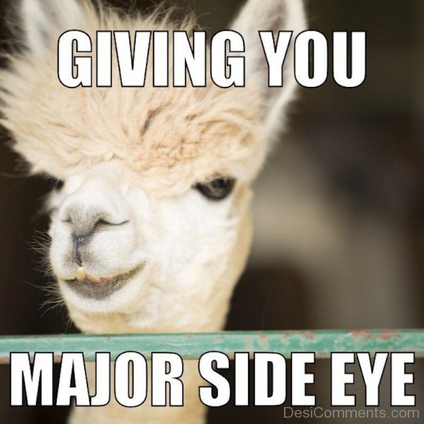 Giving You Major Side Eye