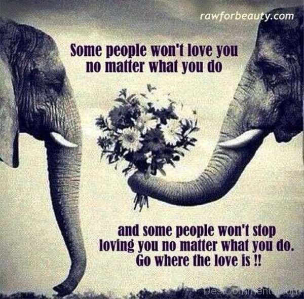Go Where The Love Is !!