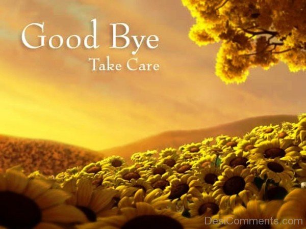 Good Bye Take Care-wxb606DC20